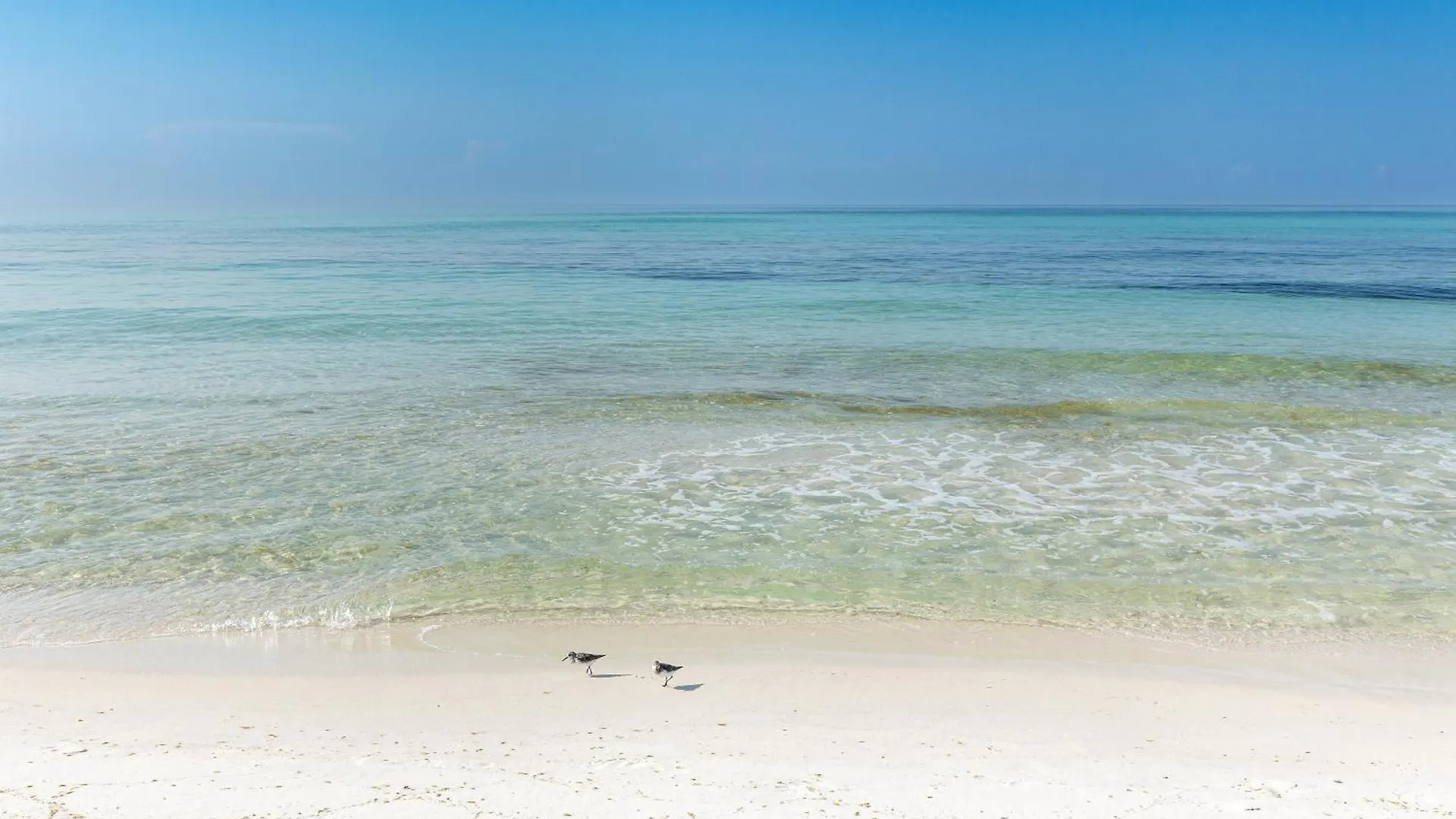 Apartment South Bay By The Gulf 097- By Holiday Isle Properties Destin United States