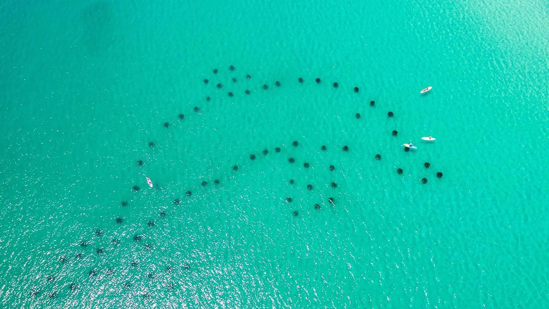 South Bay By The Gulf 097- By Holiday Isle Properties Destin United States